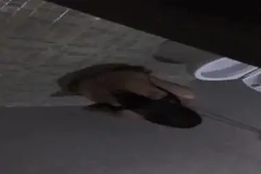 Ga Puas Ml Cewe Nya Malah Masturbasi Di Kamar Mandi poster
